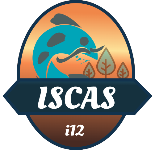 ISCAS i12